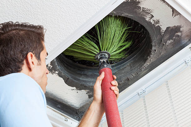 Best Air Duct Cleaning Company Near Me  in Paradise Hills, NM